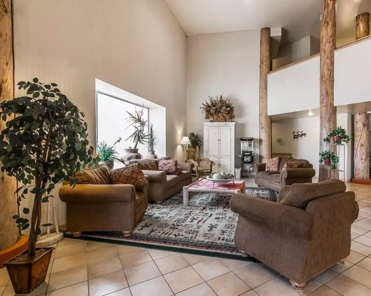 A living room with a lot of furniture and plants