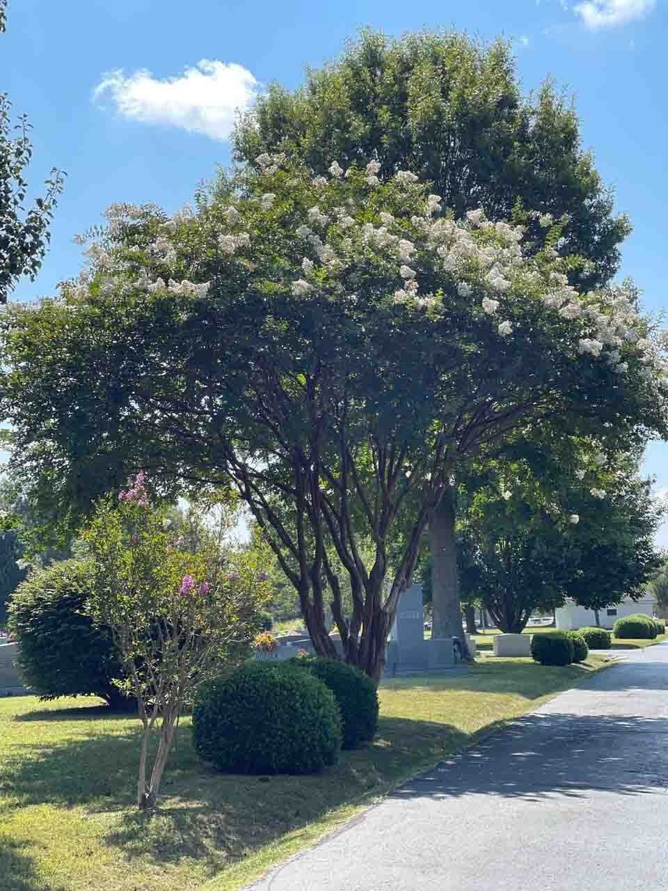 facilities-lightbox-image