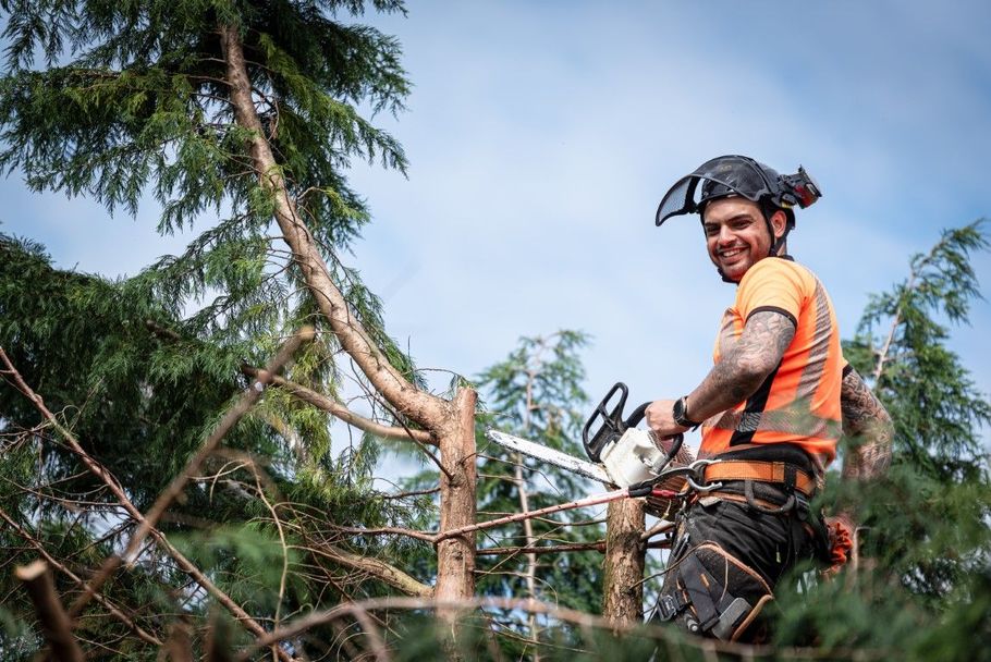 Arborist using a chainsaw in a tree; smiling, wearing safety gear against a blue sky.