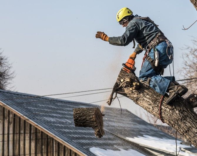 Arborist using a chainsaw to cut a tree branch, wearing safety gear, over a house.