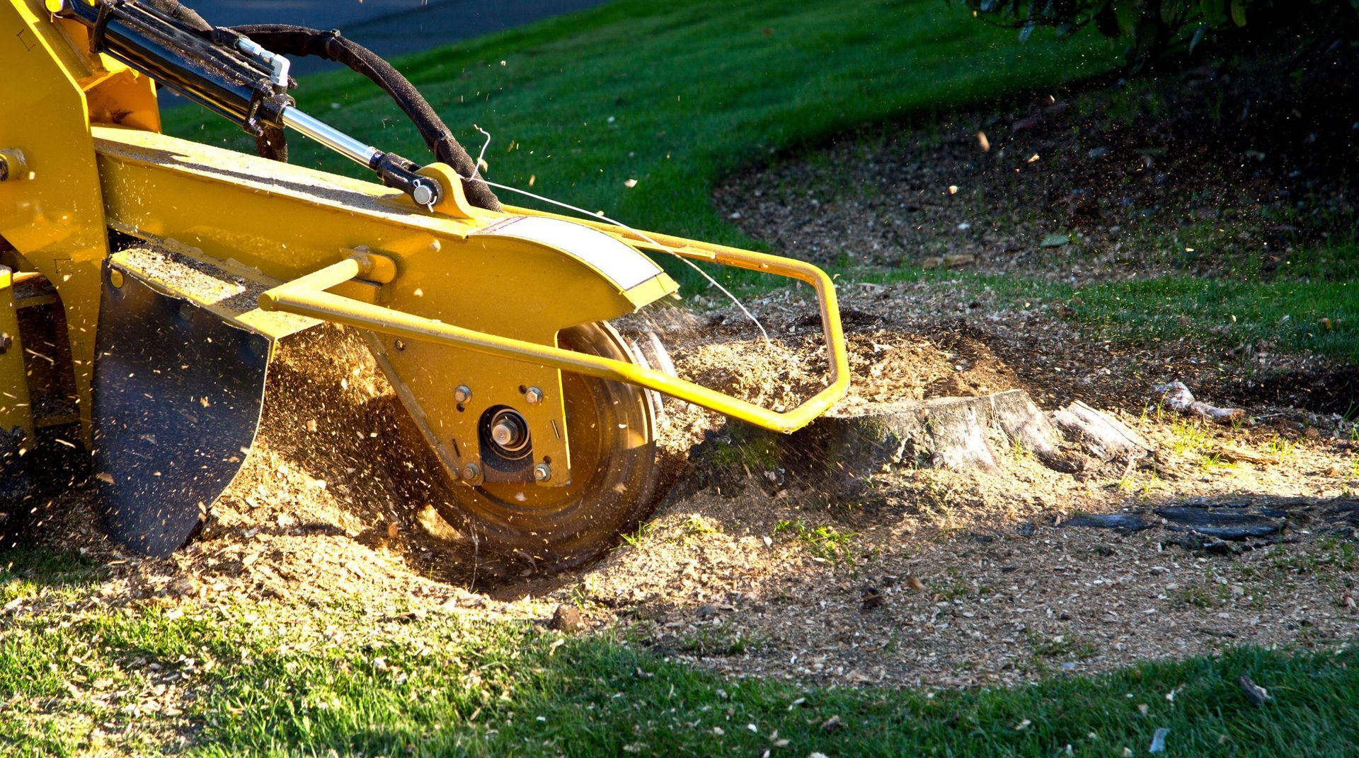 “Yellow stump grinder cutting through a tree stump and spraying wood chips across the grass during tree services”