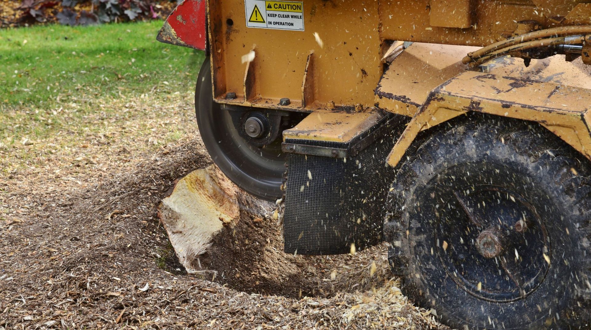 “Stump grinding machine shaving down a tree stump in a grassy yard during professional tree services”