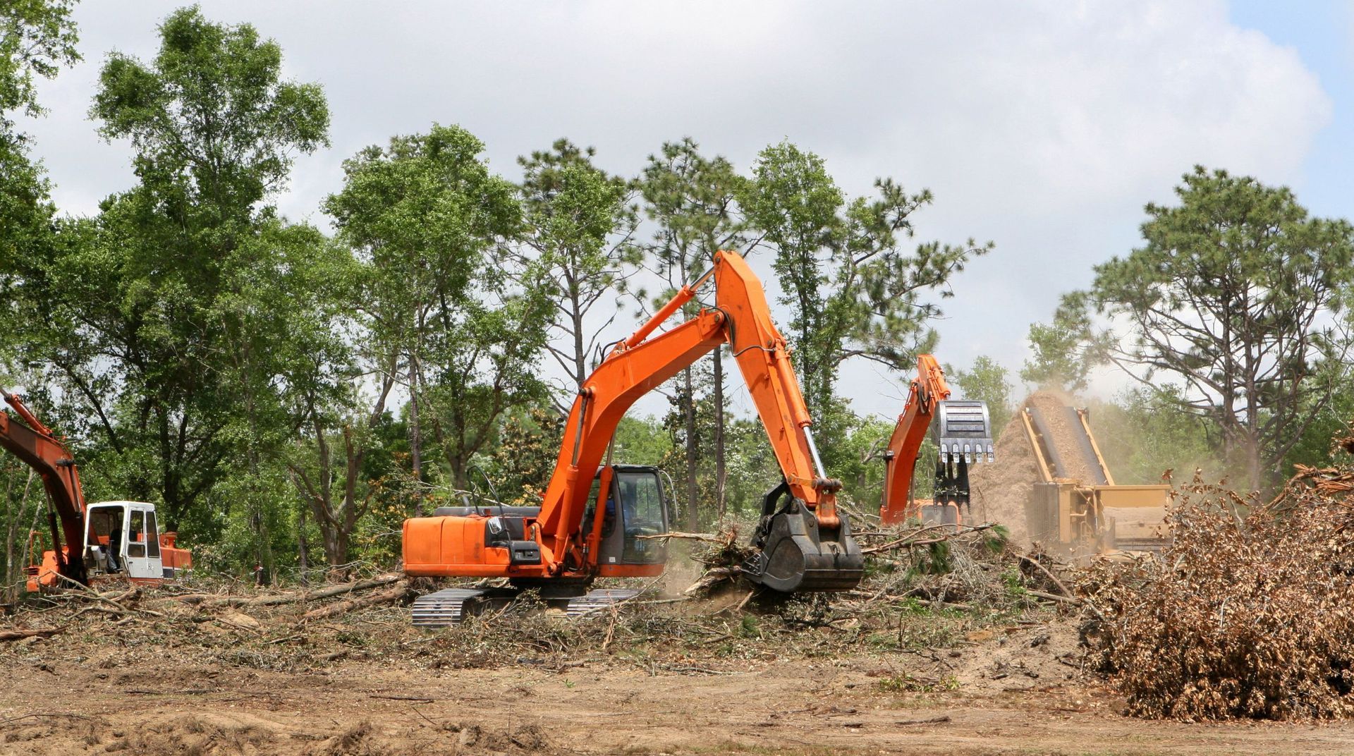 “Excavator clearing tree debris and brush from a dusty outdoor property during professional tree services”