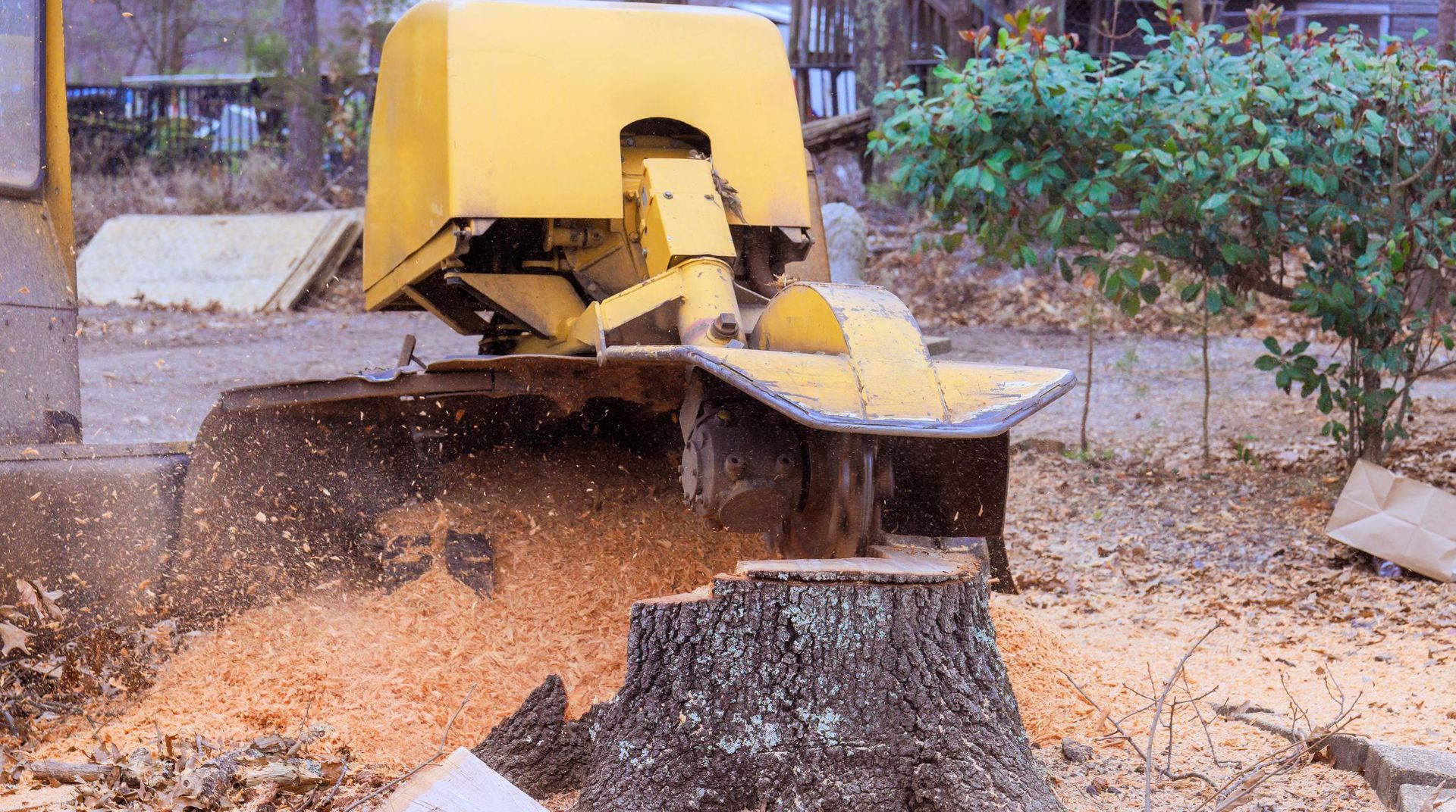 “Large stump grinder cutting down a tree stump and spreading fresh mulch during tree services”