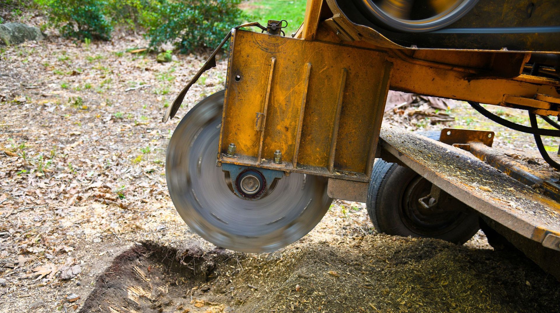 “Close-up of a stump grinding blade cutting into a tree stump and scattering wood chips during tree services”