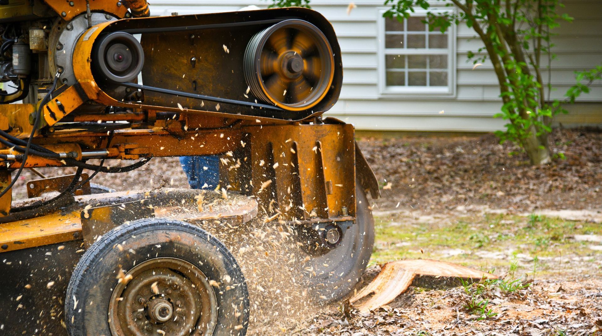“Stump grinding machine removing a tree stump near a home while wood chips fly during tree services”