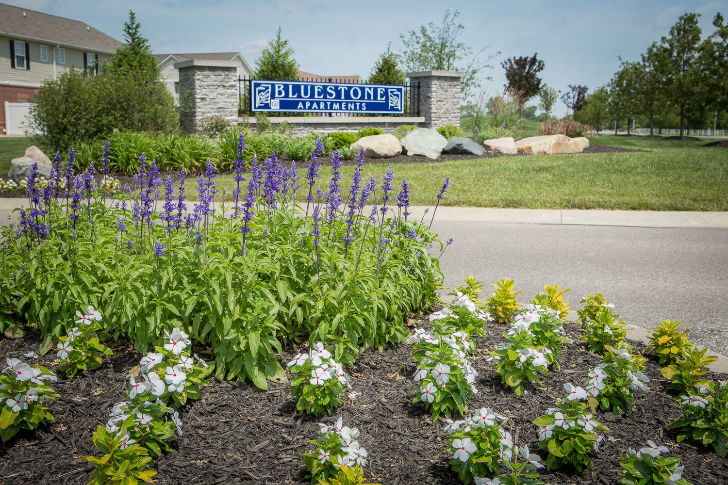 Bluestone Apartments