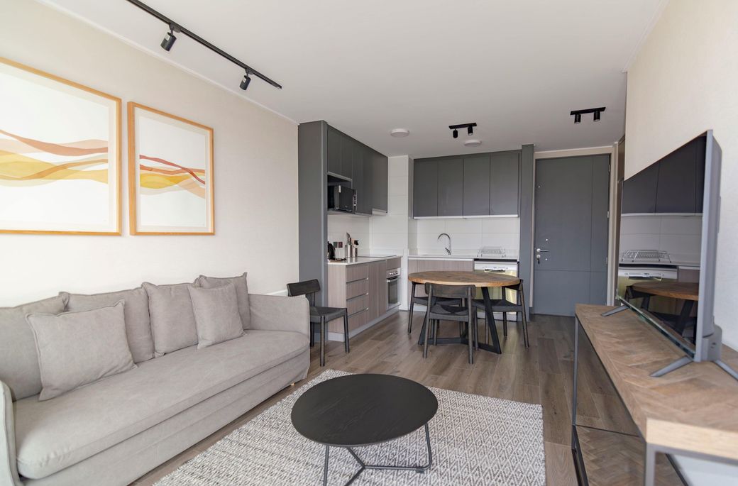 Modern apartment living room with gray sofa, kitchen, and TV.