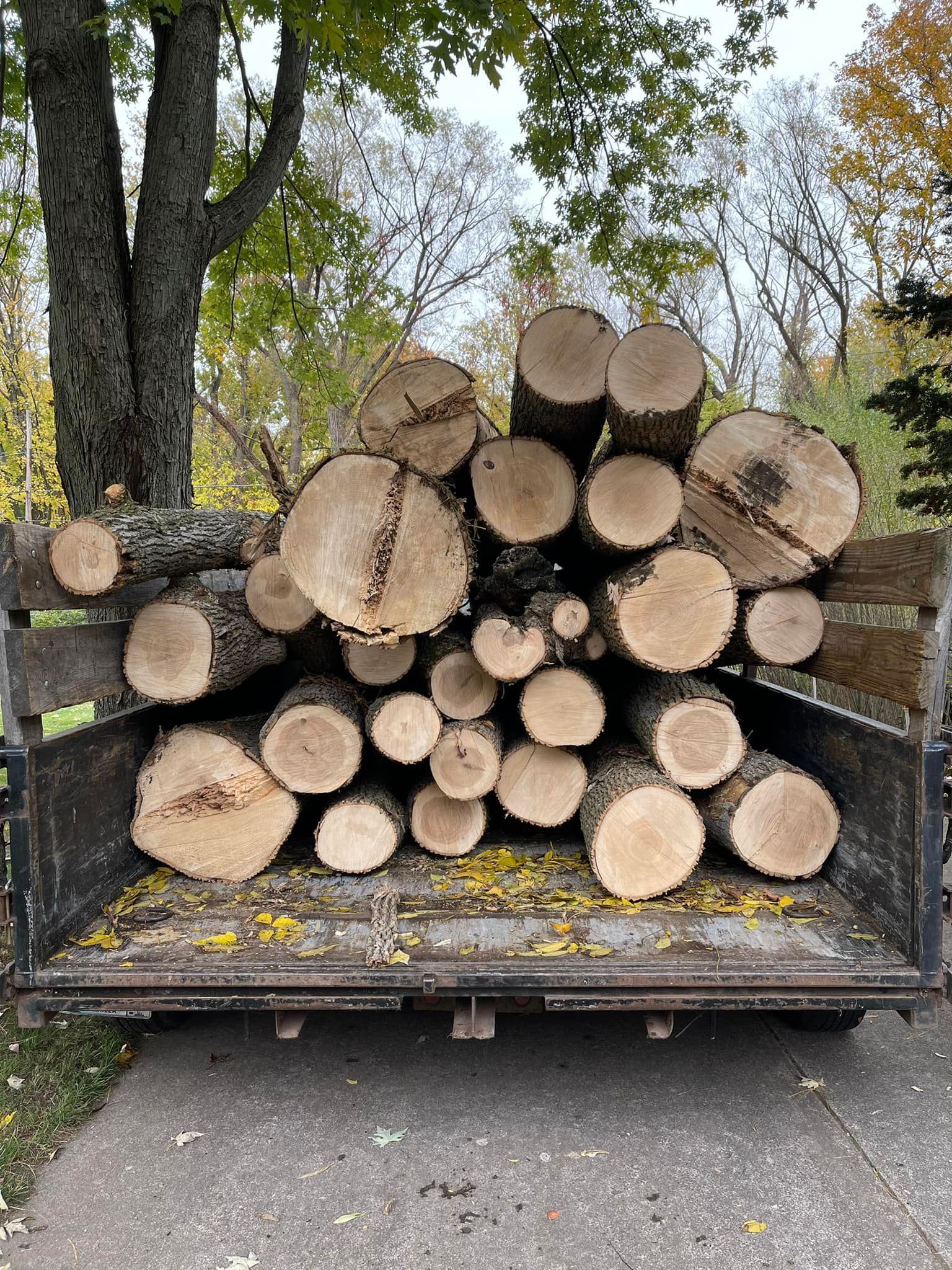 A pickup truck bed filled with numerous cut logs of varying sizes against a backdrop of trees with autumn foliage.