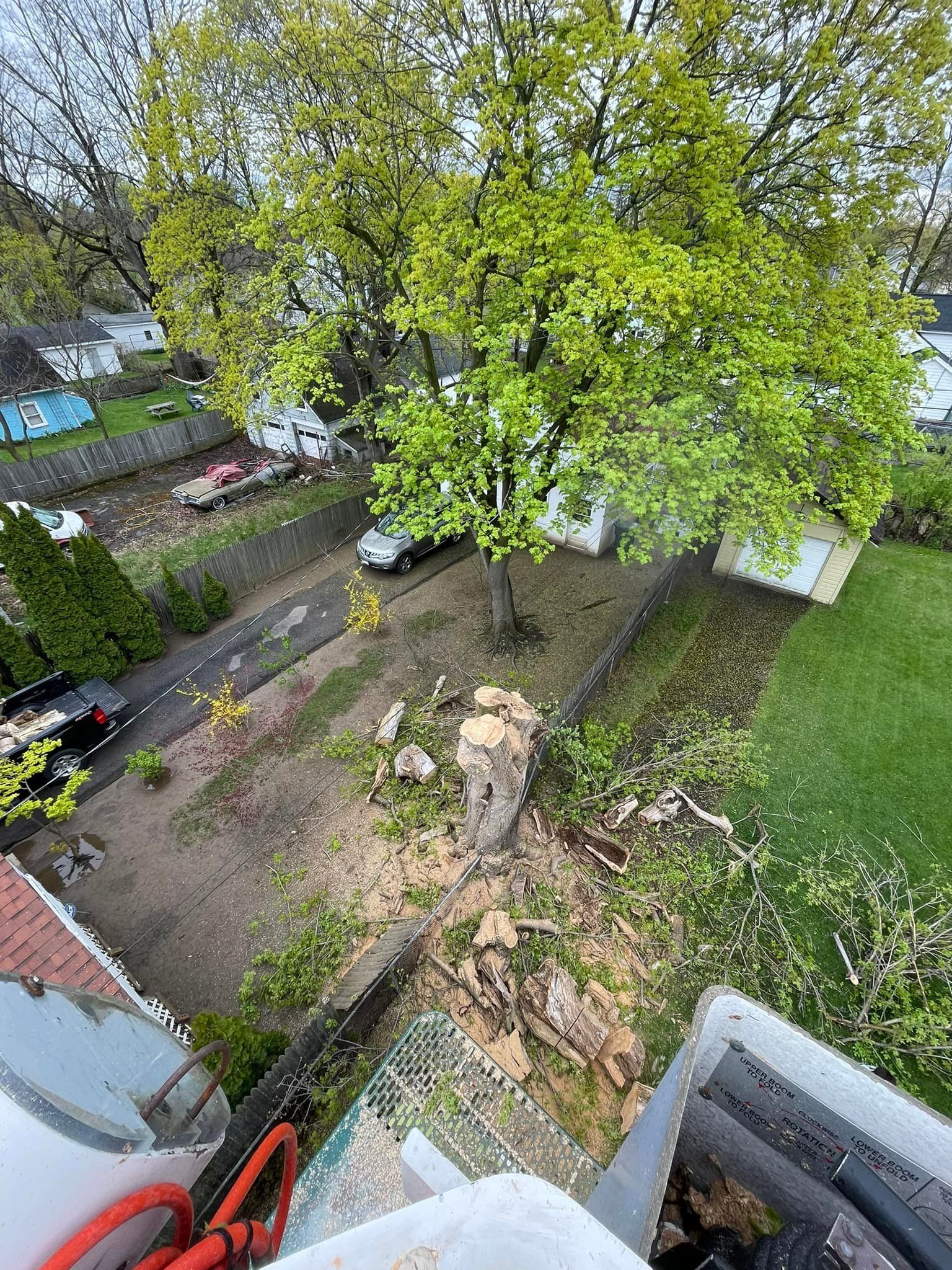High-angle view of a residential yard with a partially removed tree, wood debris on the ground, and a truck nearby.