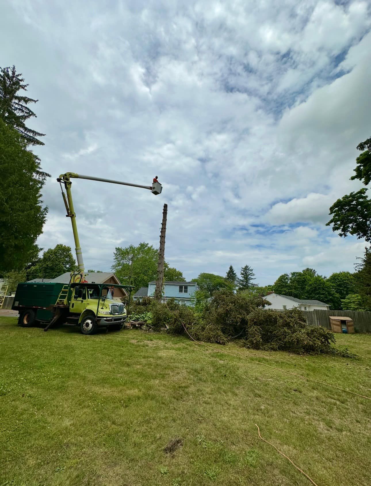 A utility bucket truck parked on a grassy lawn with a worker in the raised bucket trimming a tall, bare tree trunk.