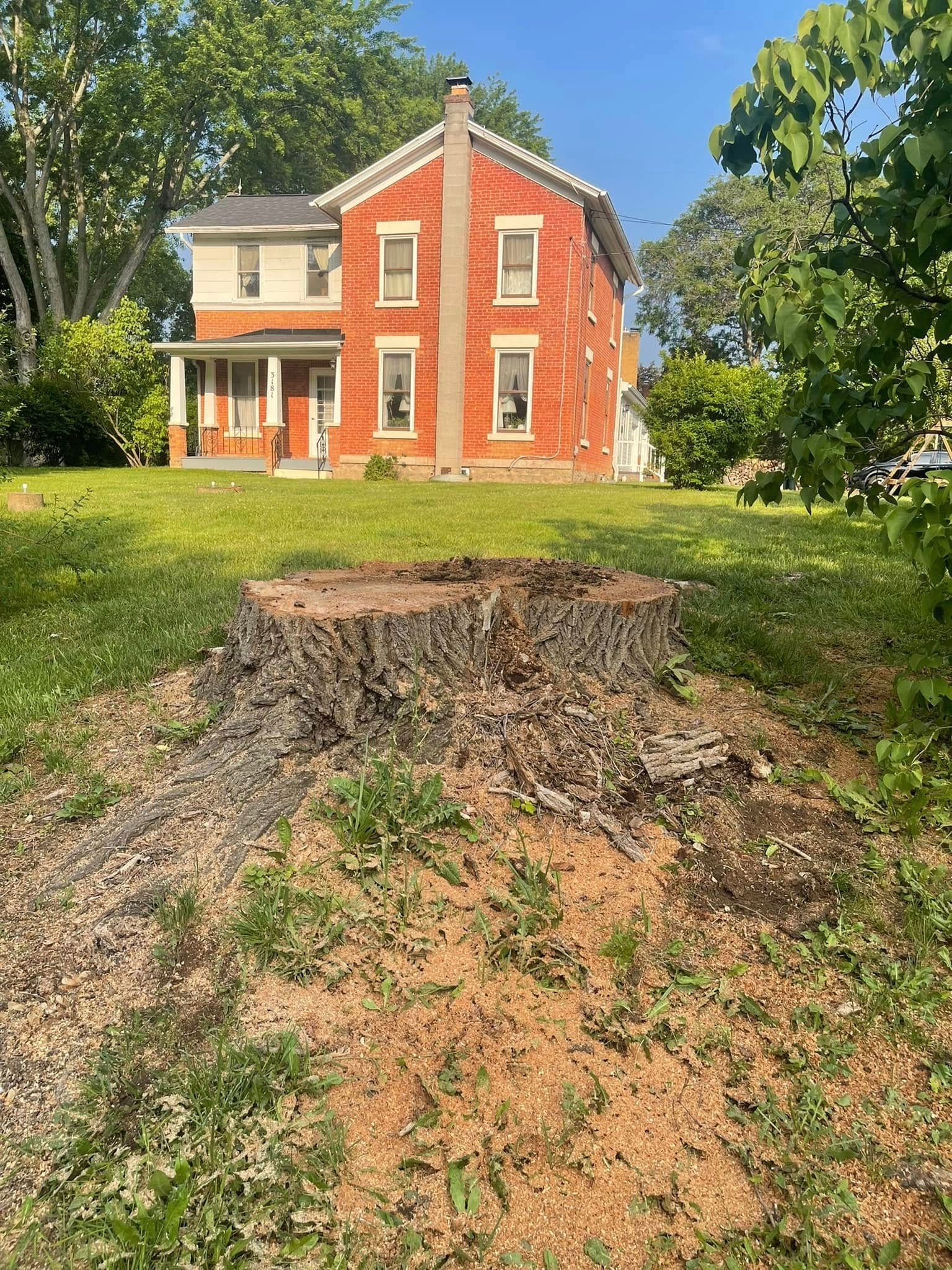 A large, weathered tree stump in the foreground of a grassy lawn with a two-story red brick house in the background.