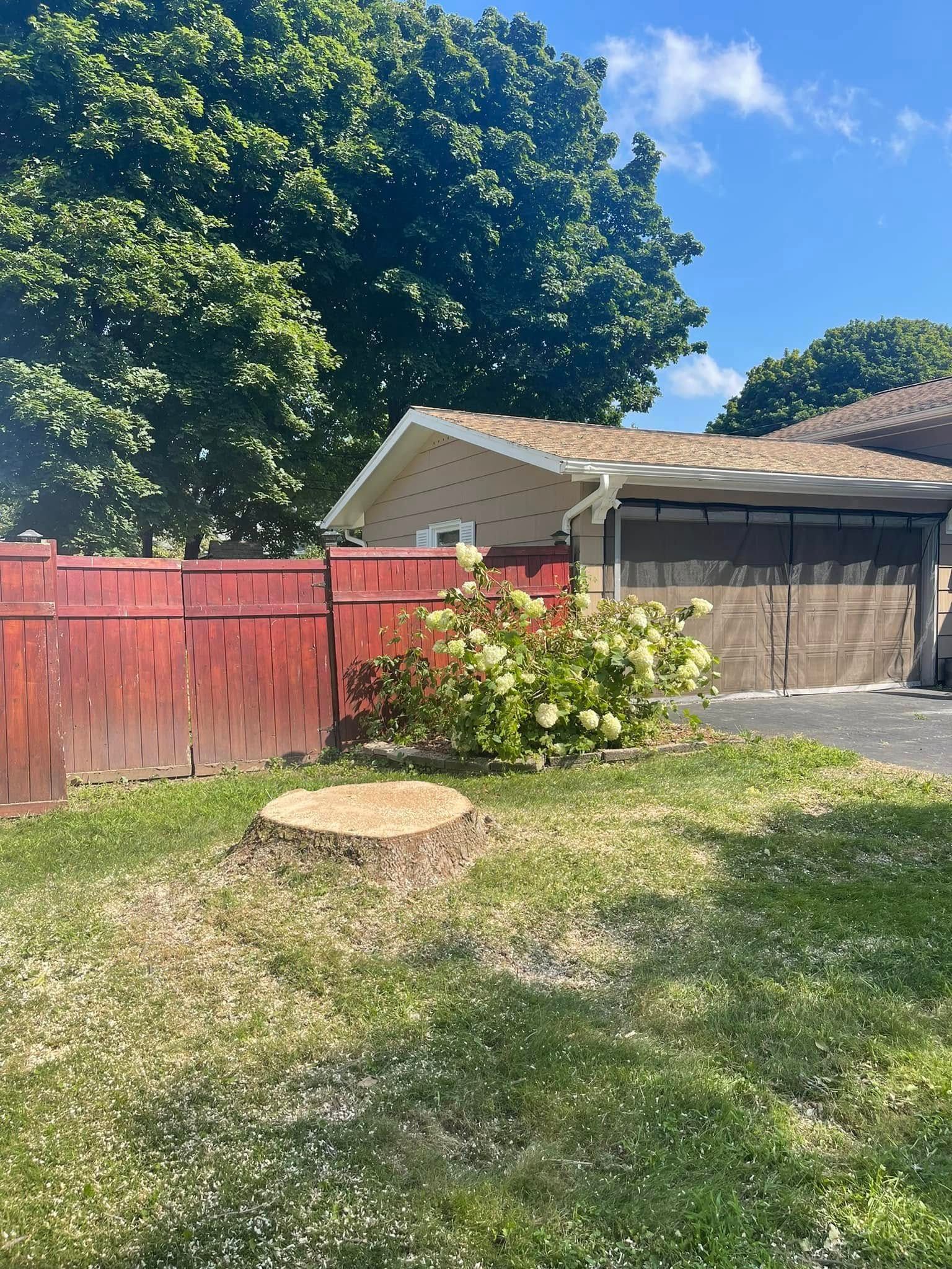 A red wooden fence, a tree stump, and a large hydrangea bush in front of a garage under a sunny blue sky.