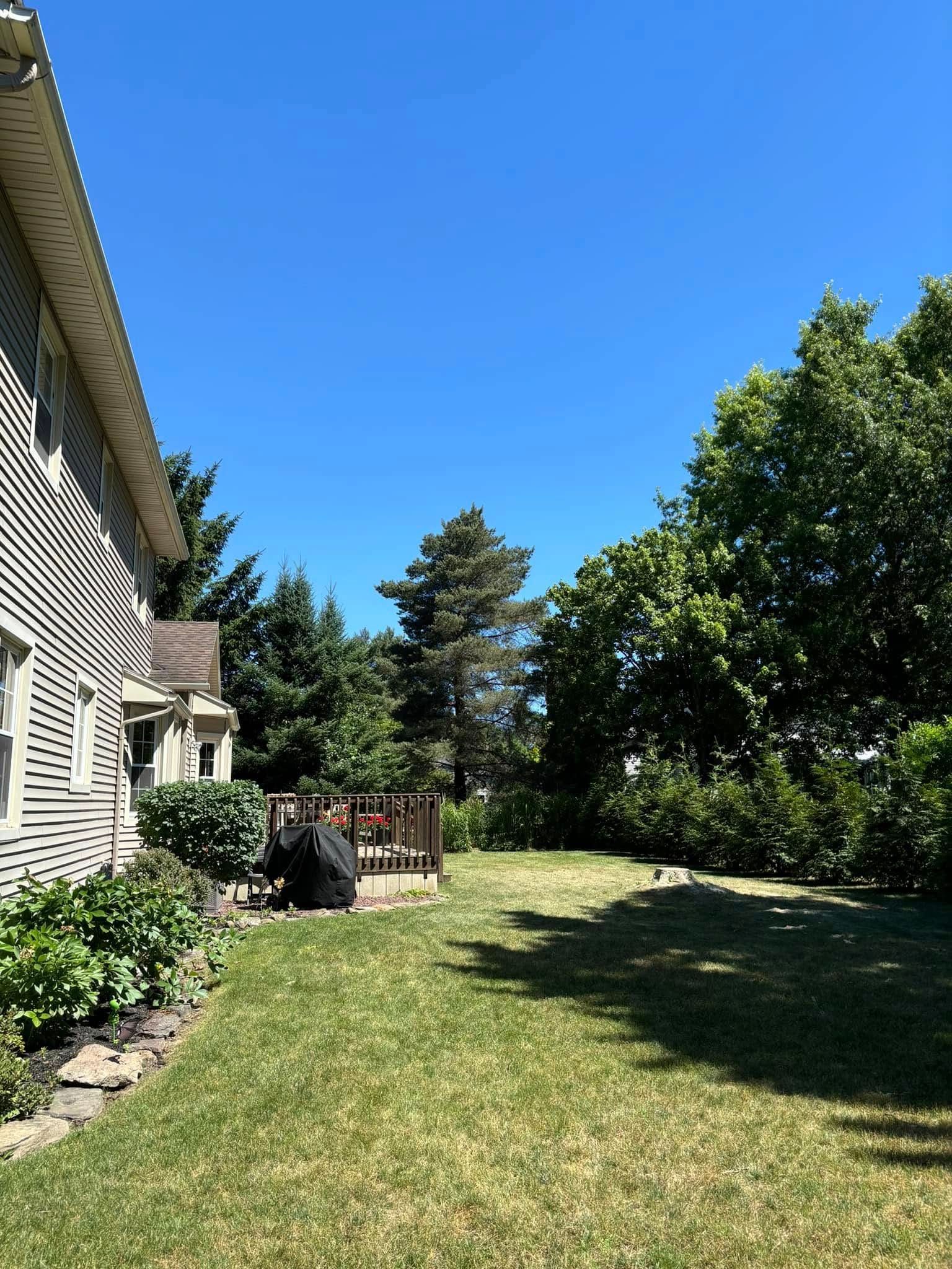 A backyard lawn on a sunny day next to a house with beige siding, mature trees, and a wooden deck.
