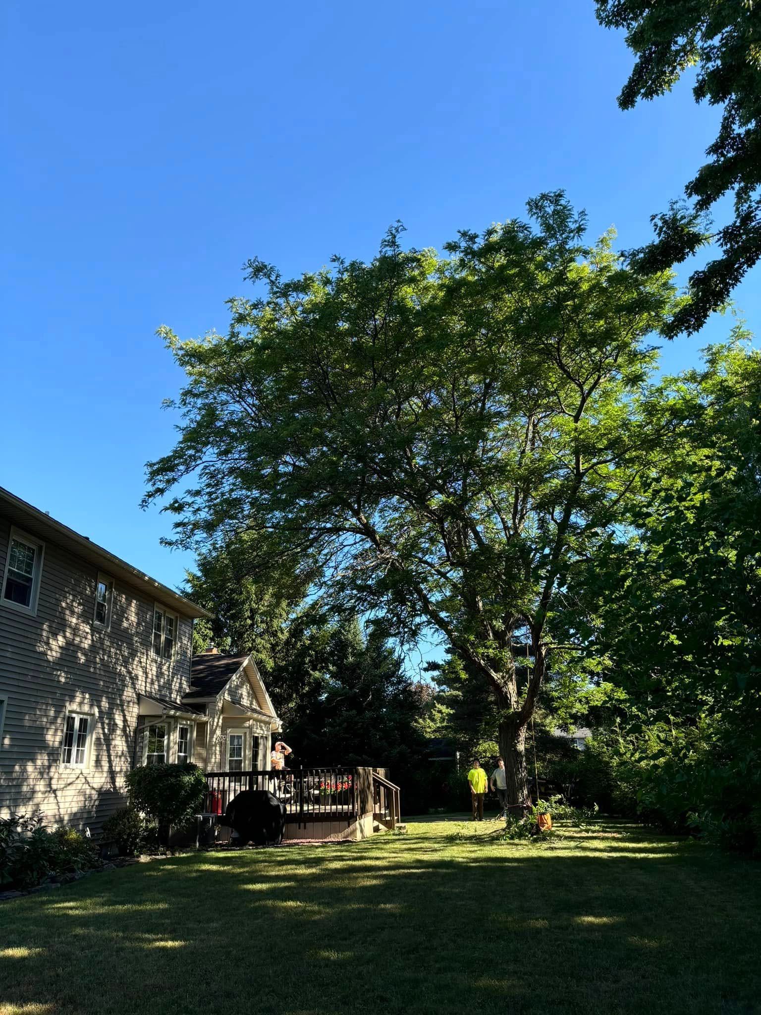 A residential house with a wooden deck stands next to a large, leafy tree in a sunny, grass-covered backyard.