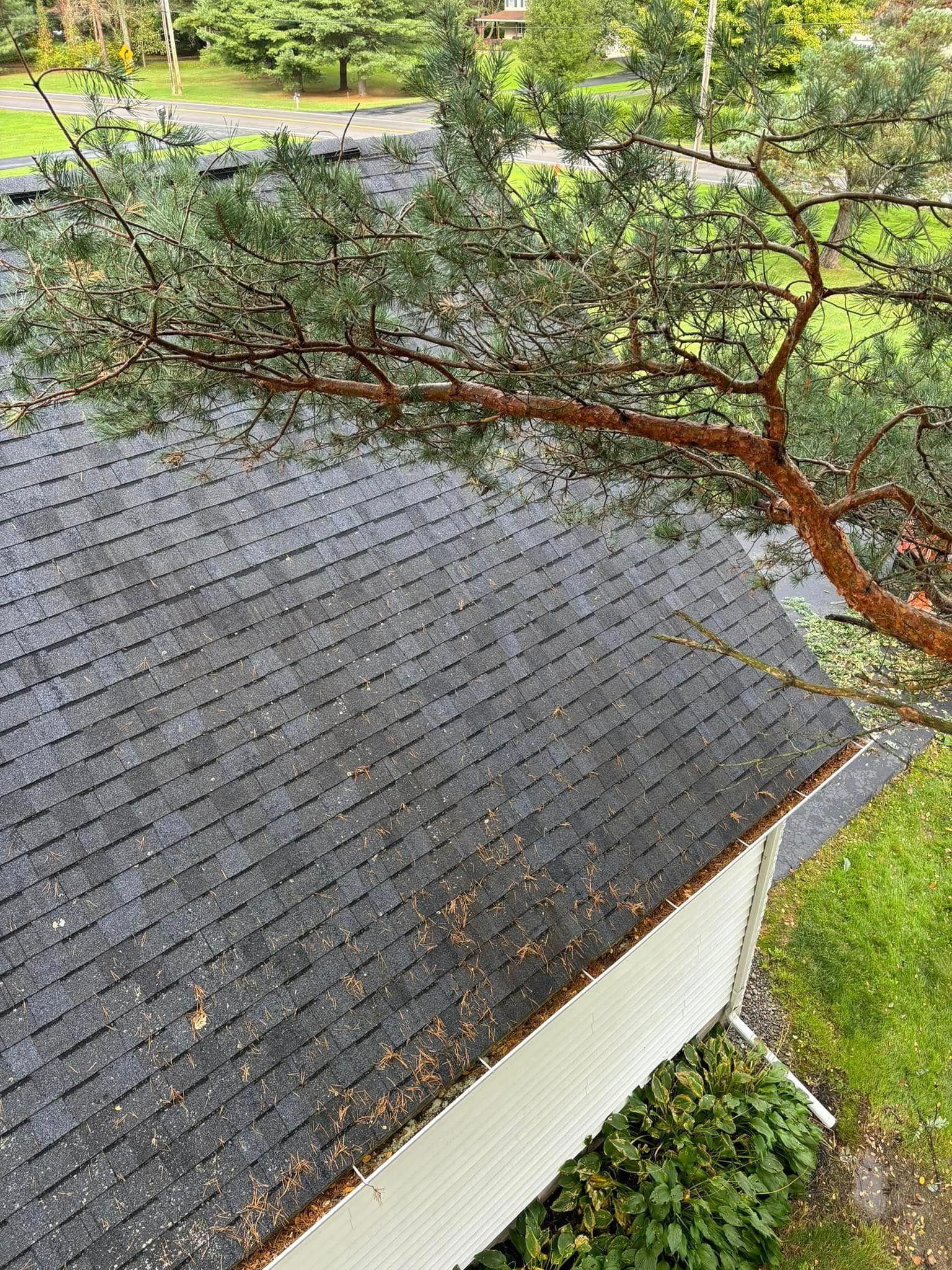 A high-angle view of a gray asphalt shingle roof partially shaded by pine tree branches, next to a white house wall.
