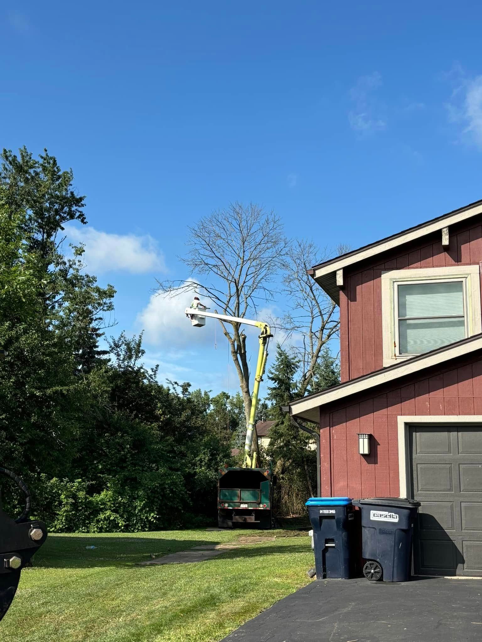 A yellow cherry picker truck parked on a lawn next to a brown house, with a worker trimming branches in a tall tree.
