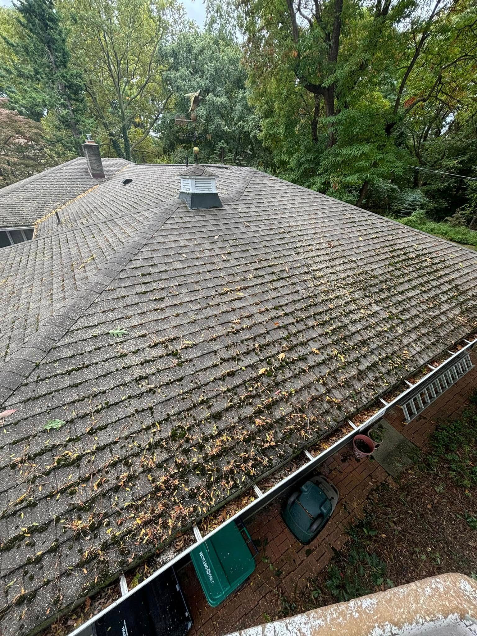 A high-angle view of a shingled residential roof covered in fallen autumn leaves, with gutters and trees in the background.