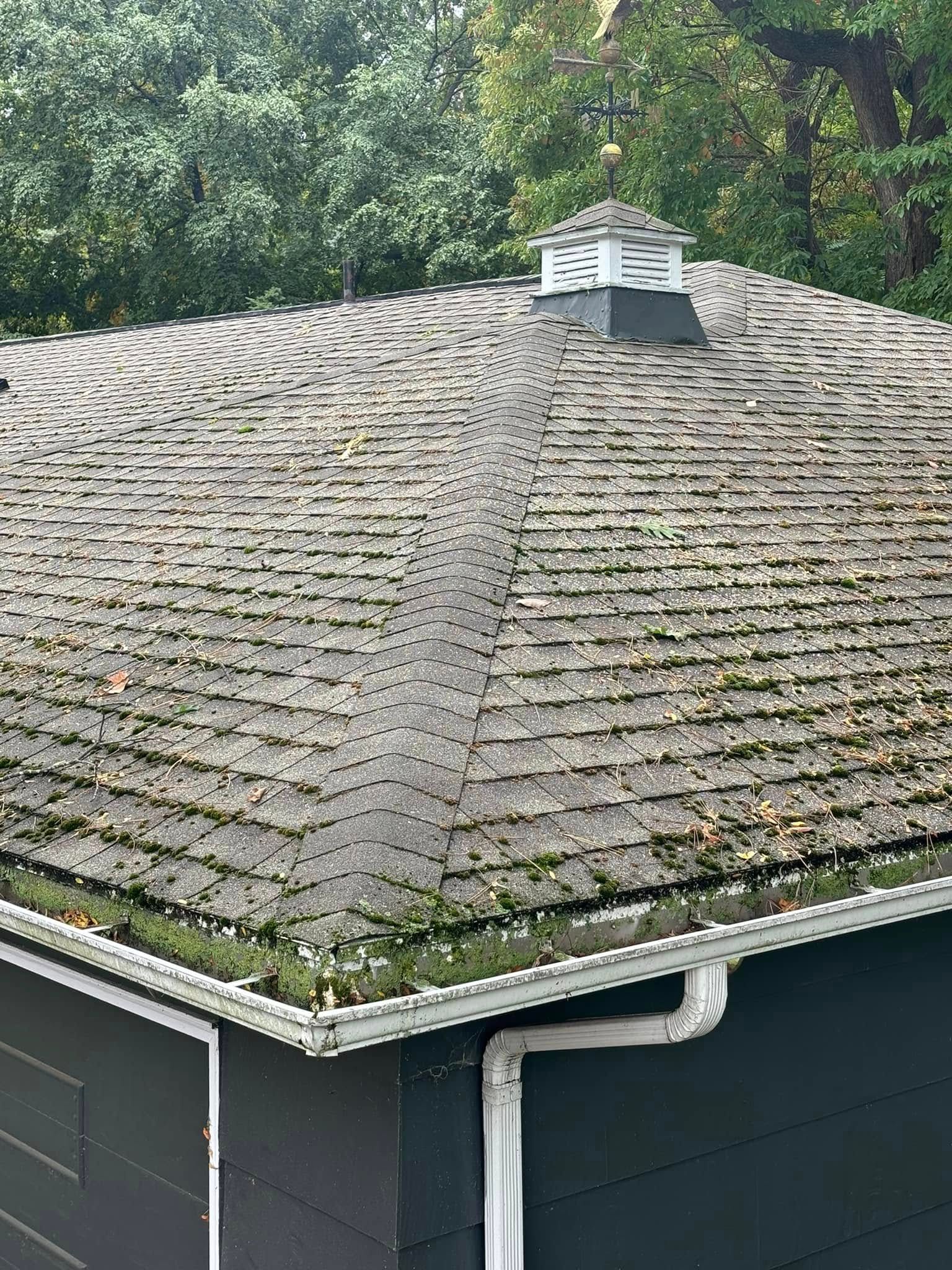 A gray shingled roof with moss buildup and debris, featuring a cupola and a white gutter system against a dark exterior.