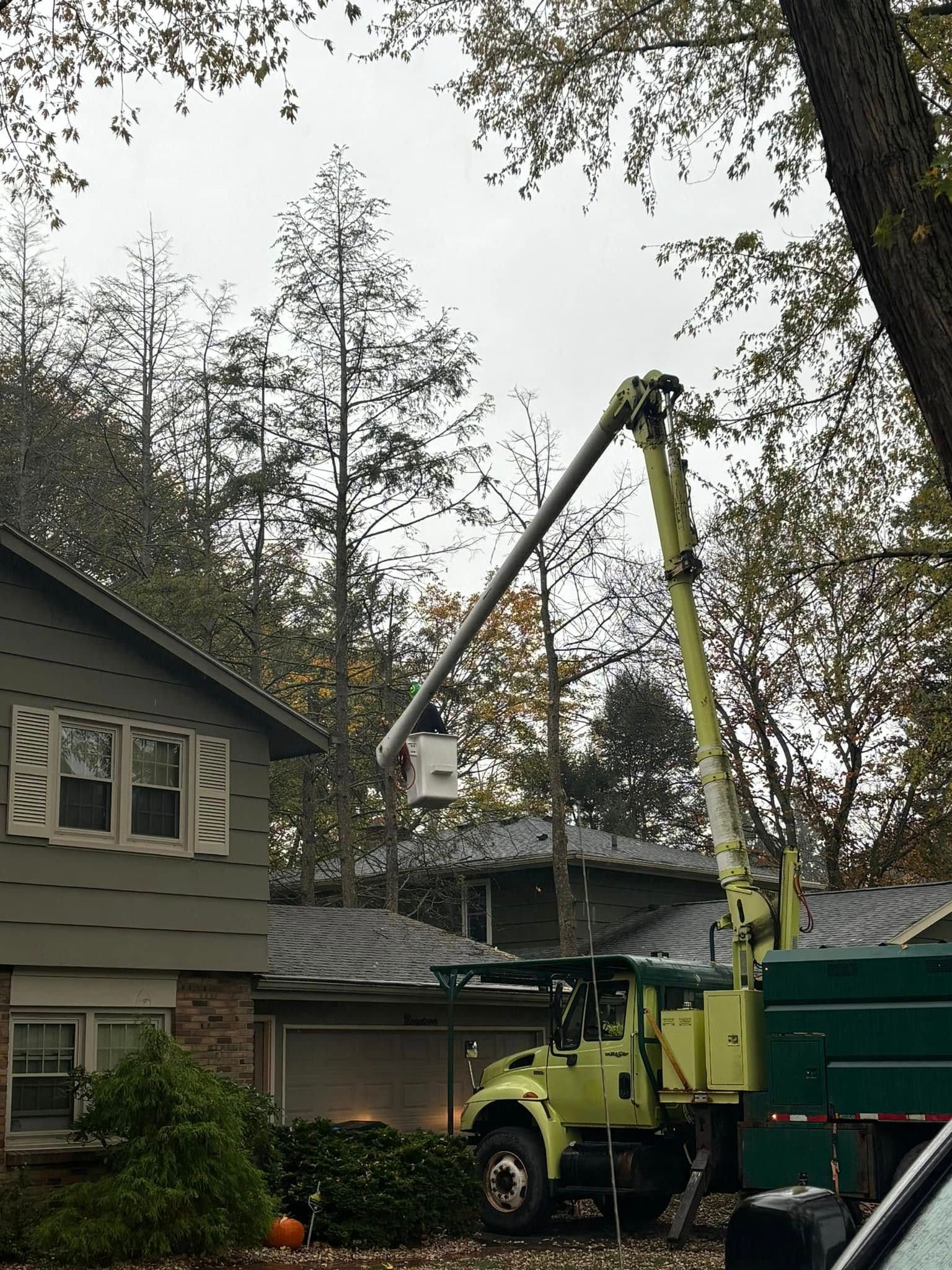A bright green tree service truck with an extended bucket lift raised near the top of a tall tree by a house.
