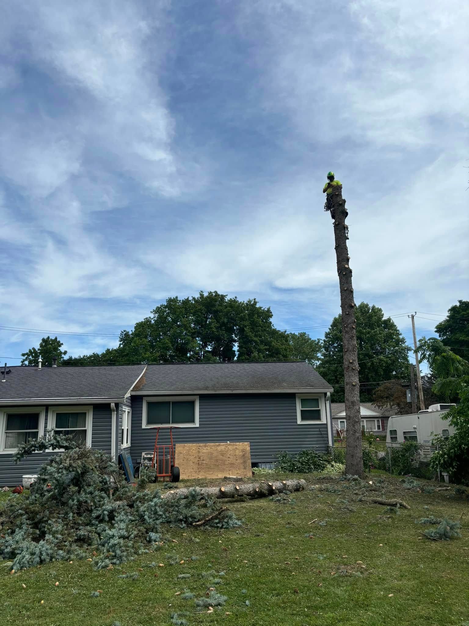 A person in a neon vest stands atop a tall, branchless tree trunk being pruned in a residential yard near a house.