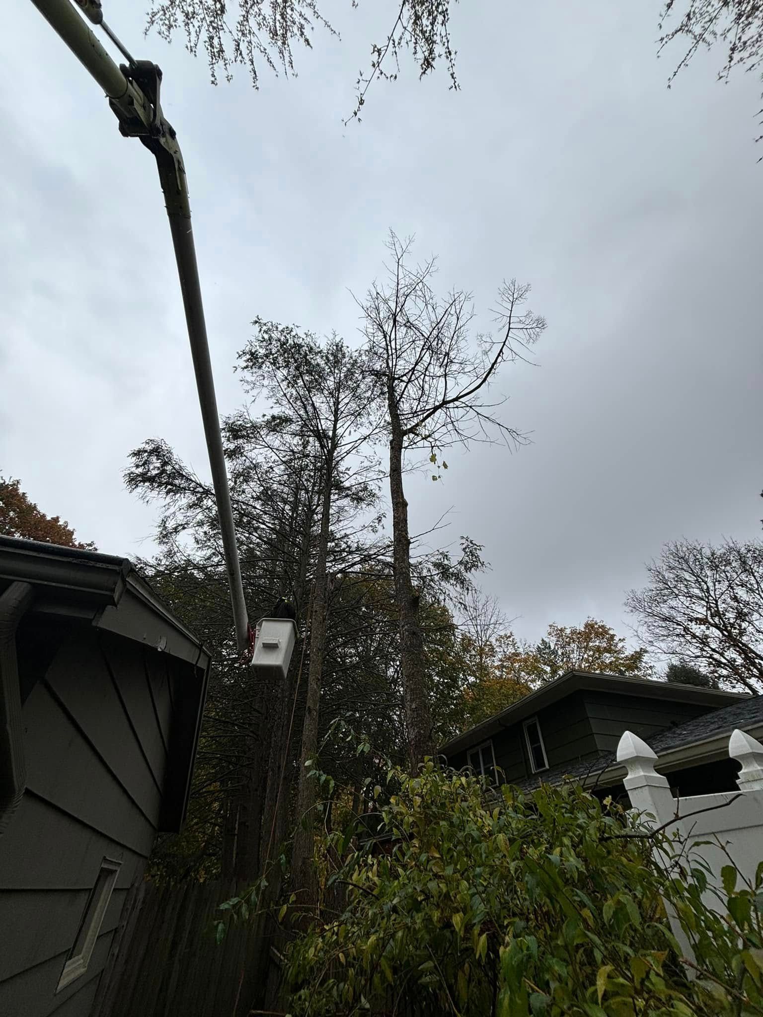 A utility pole with a small transformer box stands near a residential building and tall trees under a cloudy sky.