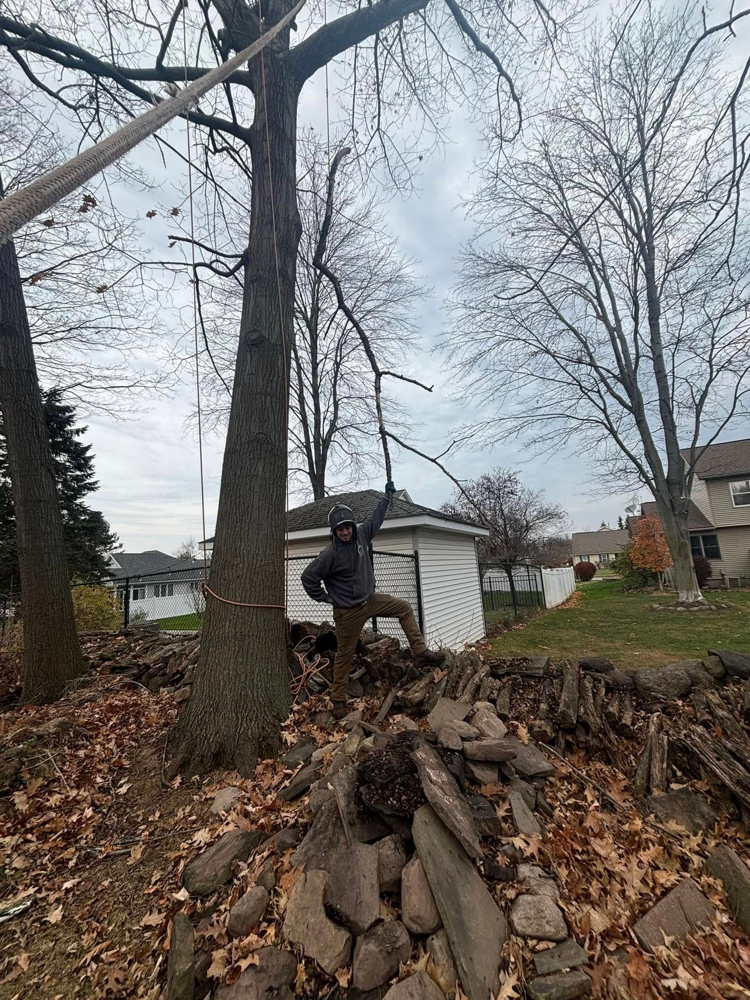 A person standing on a pile of stones and leaves in a yard, reaching up toward tree branches.