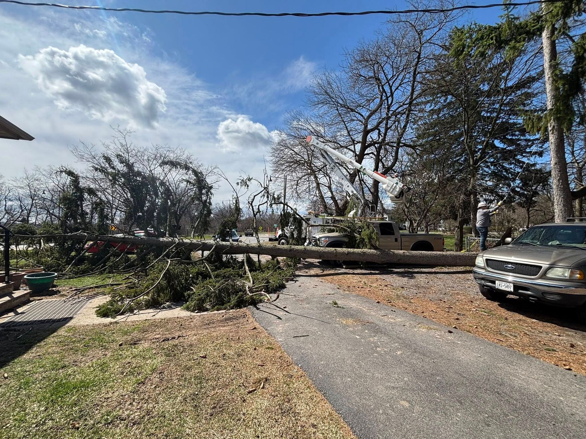 A large fallen tree blocks a residential road next to a truck, with debris scattered around on a sunny day.