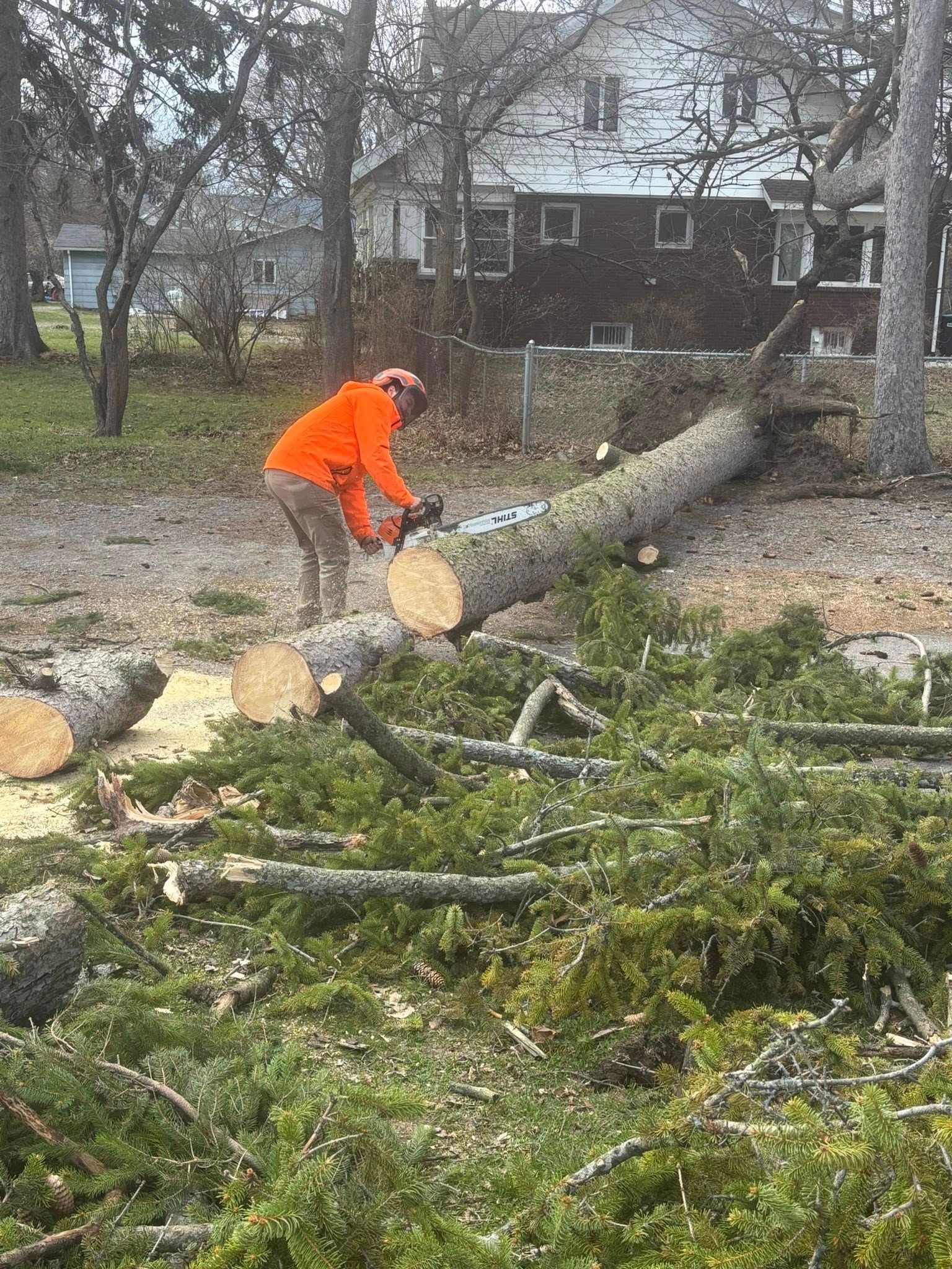 A person in a bright orange jacket uses a chainsaw to cut a fallen tree trunk in a grassy yard near a house.