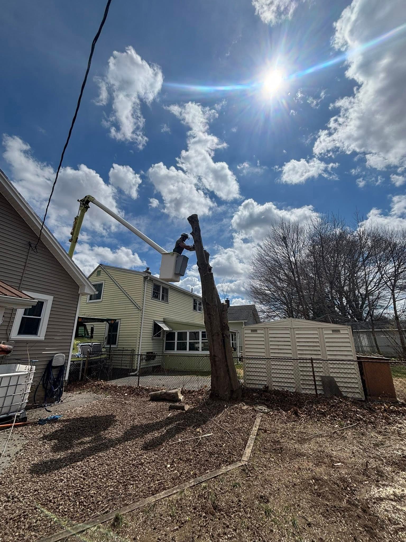A bucket truck works to prune a tall, bare tree in a backyard under a bright sunlit sky.