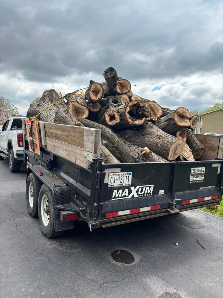A black Maxum dump trailer loaded with large, rough-cut tree logs attached to a white pickup truck on an asphalt driveway.