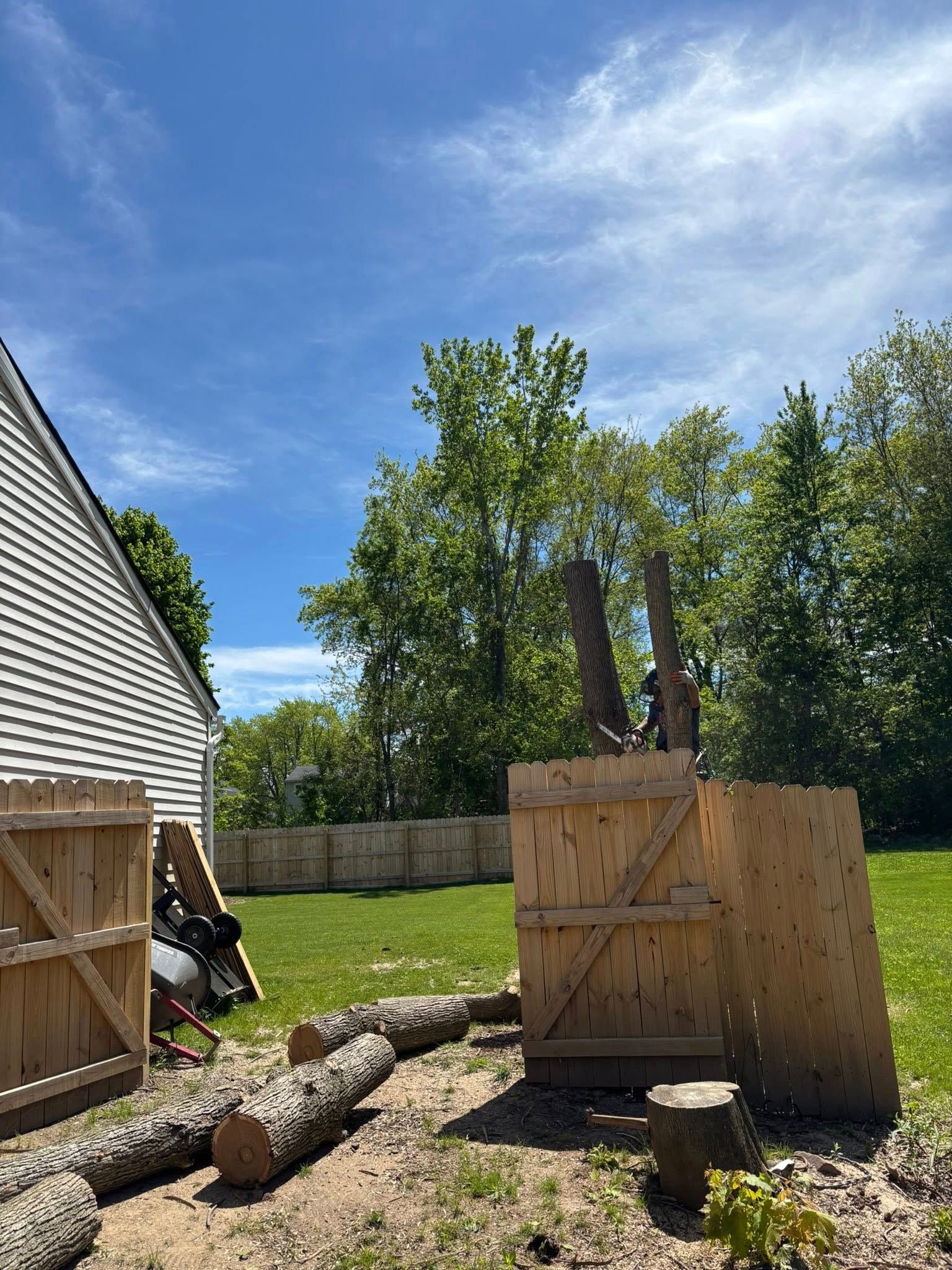 A worker cuts a tree trunk in a yard, with segments of wood and plywood barriers near a house exterior.