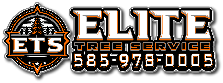 Logo for Elite Tree Service featuring a circular tree icon and the phone number 585-978-0005 in tan and black.