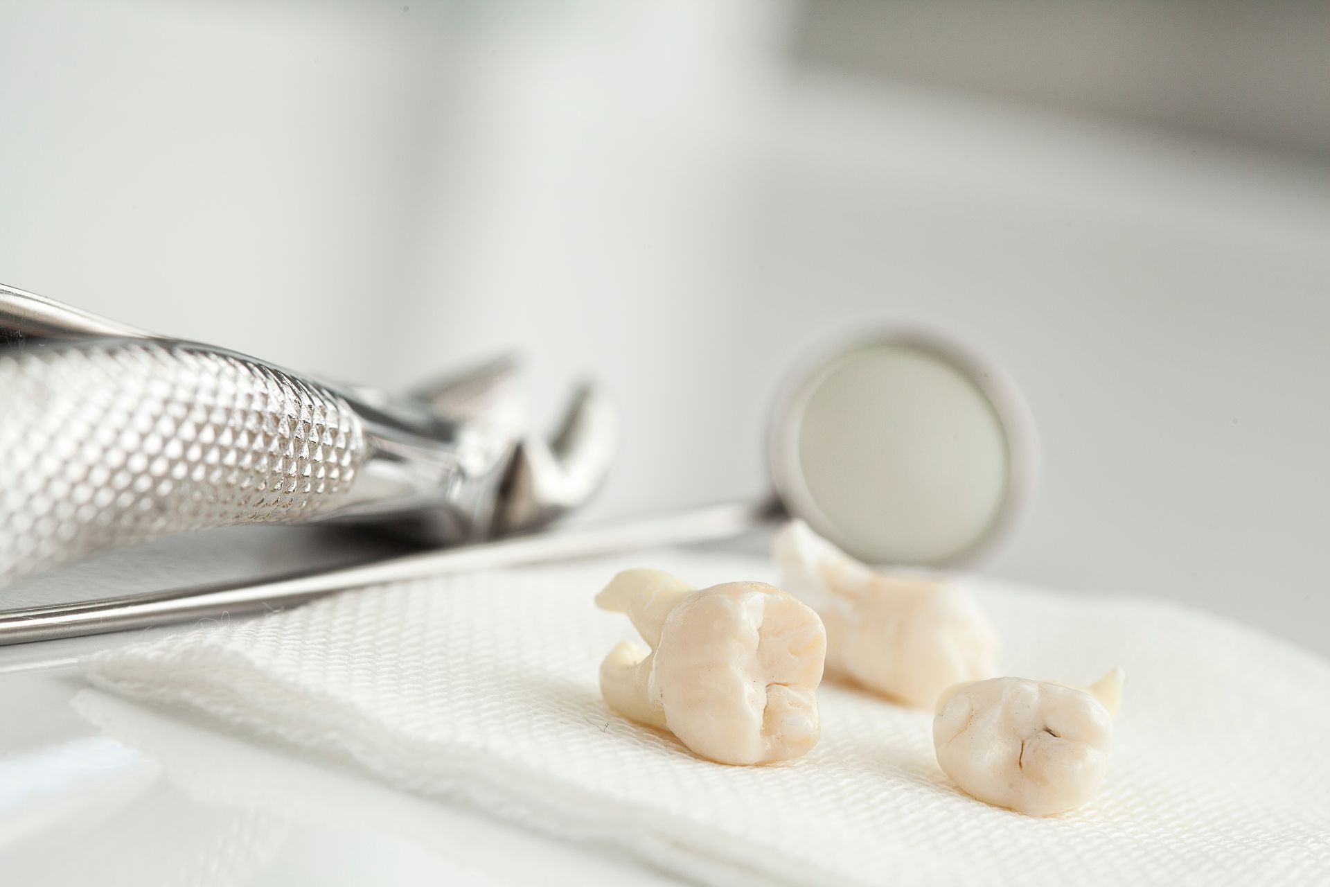 Dental tools with extracted teeth on a white gauze pad