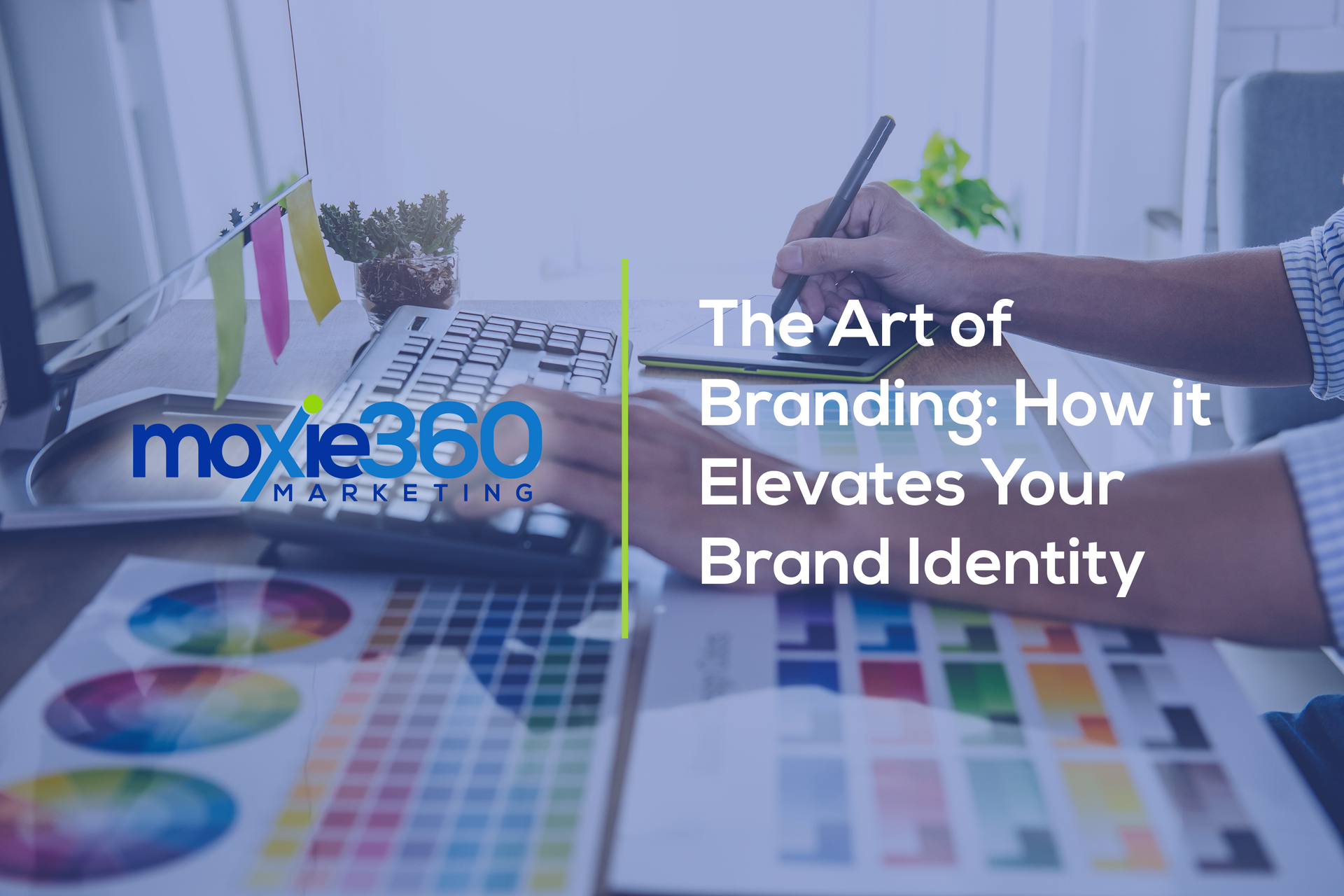 The Art of Branding: How it Elevates Your Brand Identity | Moxie360 Marketing