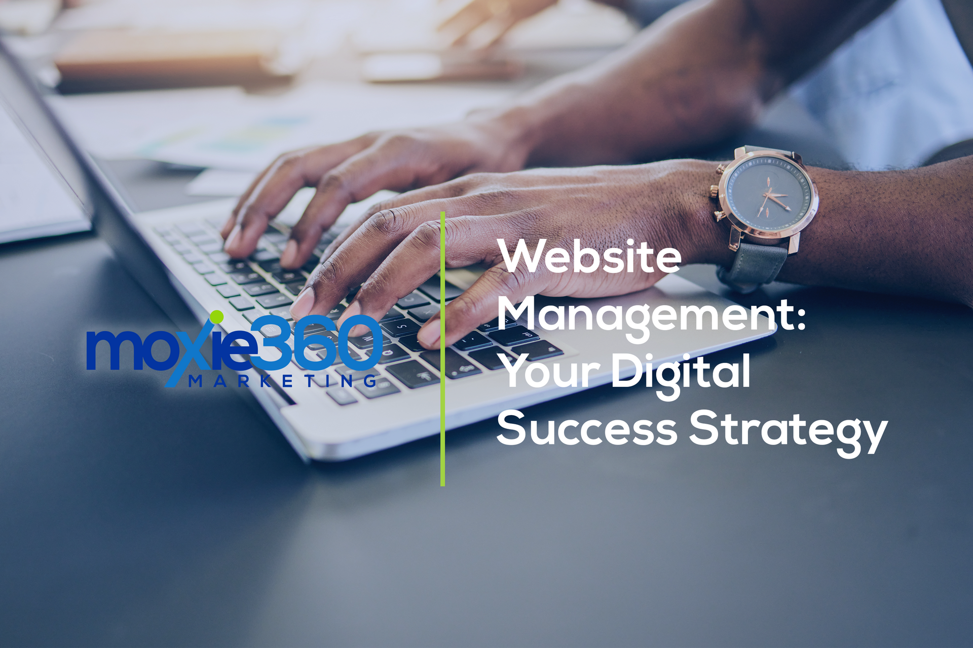 website management 2 | moxie360 marketing | digital excellence
