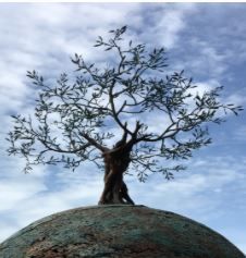 médiumnité genève espace le camango