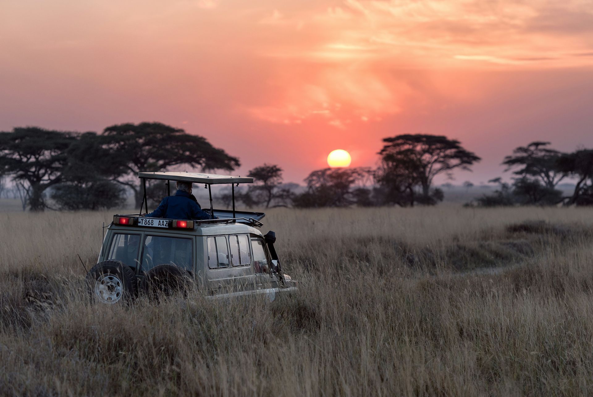 Safari vehicle in tall grass at sunset, with the sun low on the horizon and trees silhouetted in the background.
