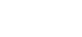 Empty white background.