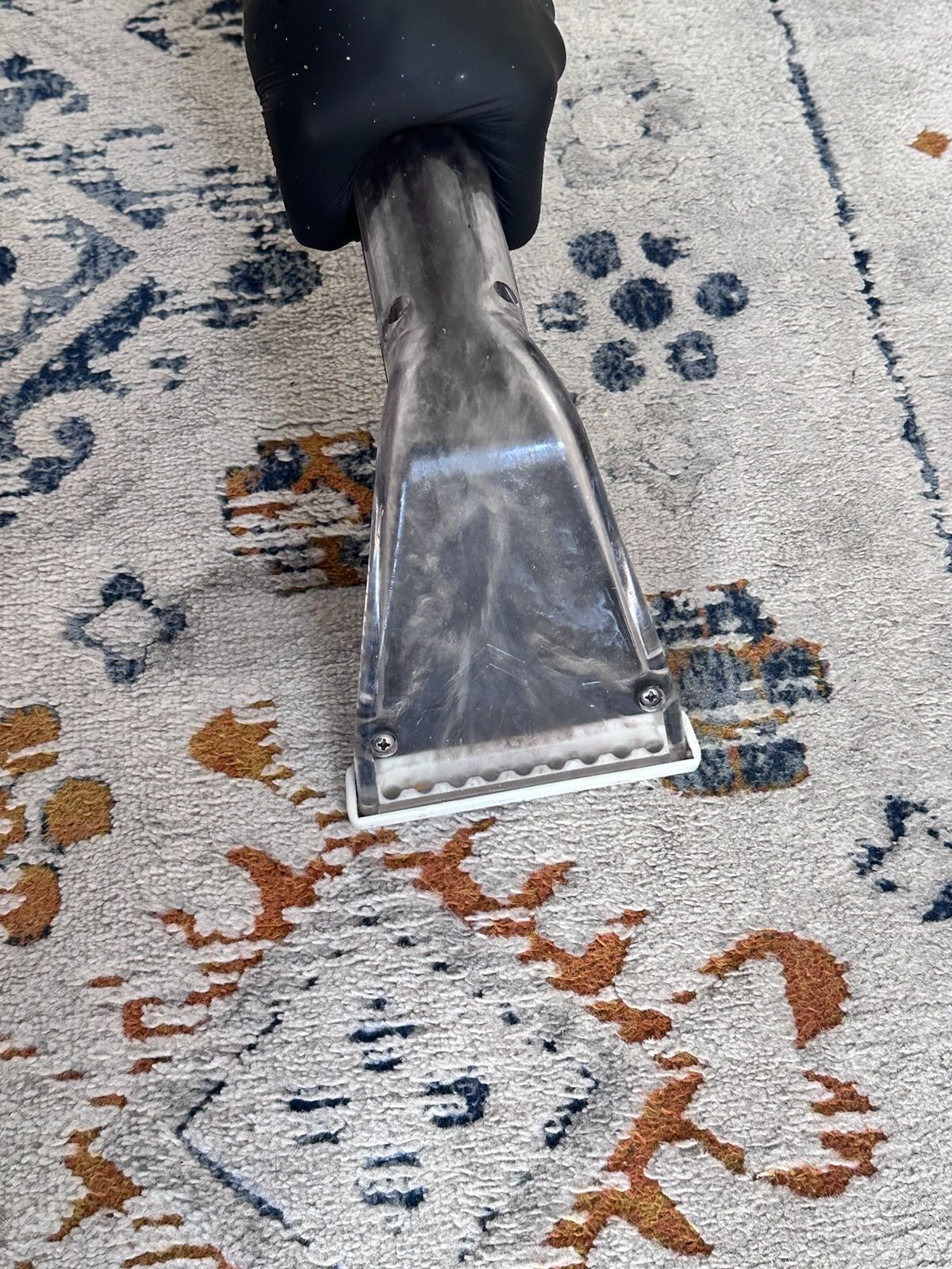 A person uses a carpet cleaning tool on a patterned rug.
