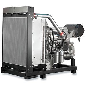 Motori per generatori Perkins