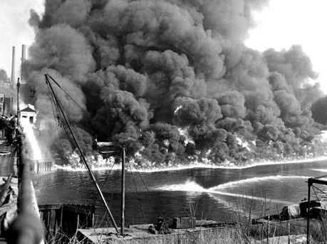 A turtle is laying on a rock with a plastic bag around its neck.