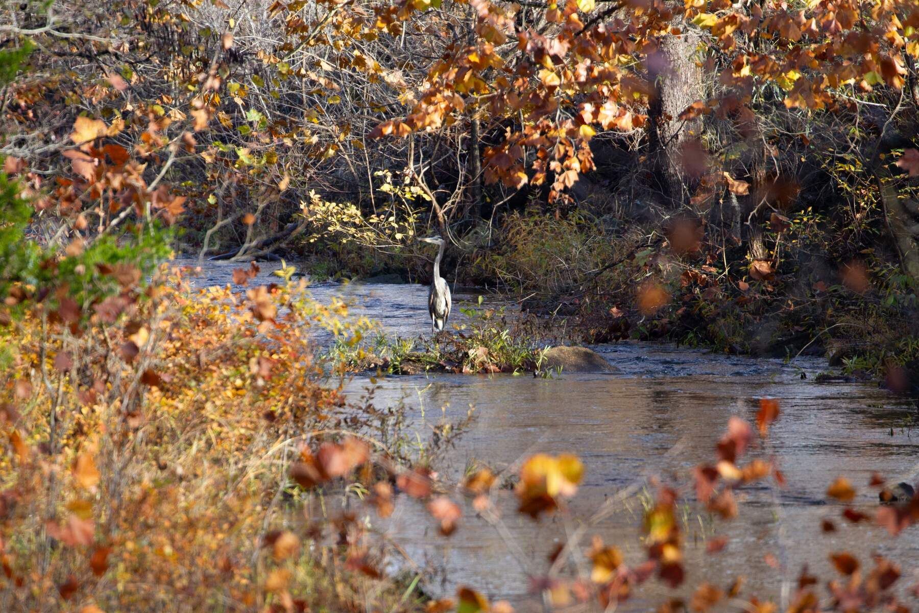 A group of people are posing for a picture in a grassy field.
