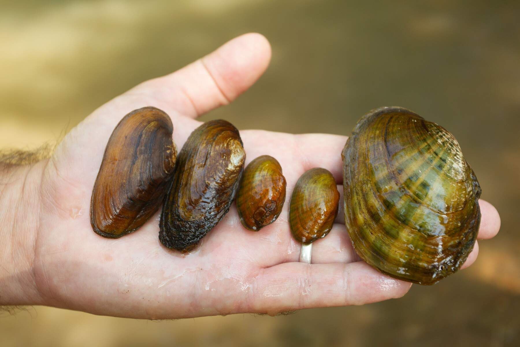 A group of people are posing for a picture in a grassy field.