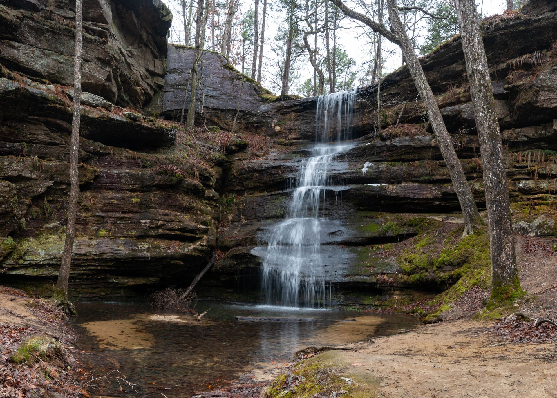 A turtle is laying on a rock with a plastic bag around its neck.