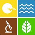 A microscope , a bird , waves , and a leaf are in a square.