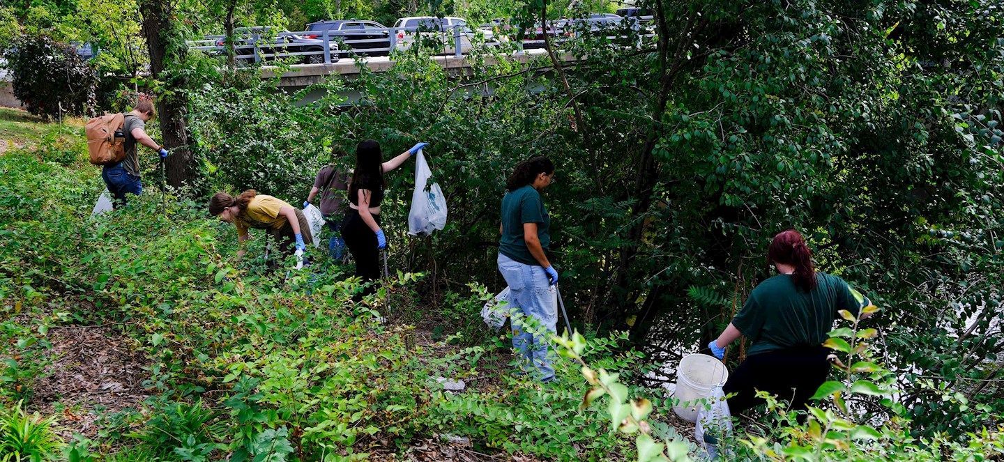 A group of people are picking up trash in the woods.