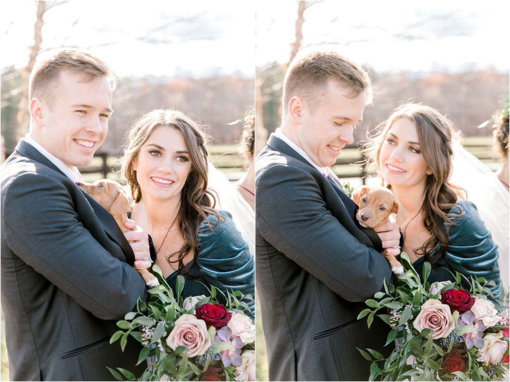 a country traditional wedding with pies, puppies on a farm