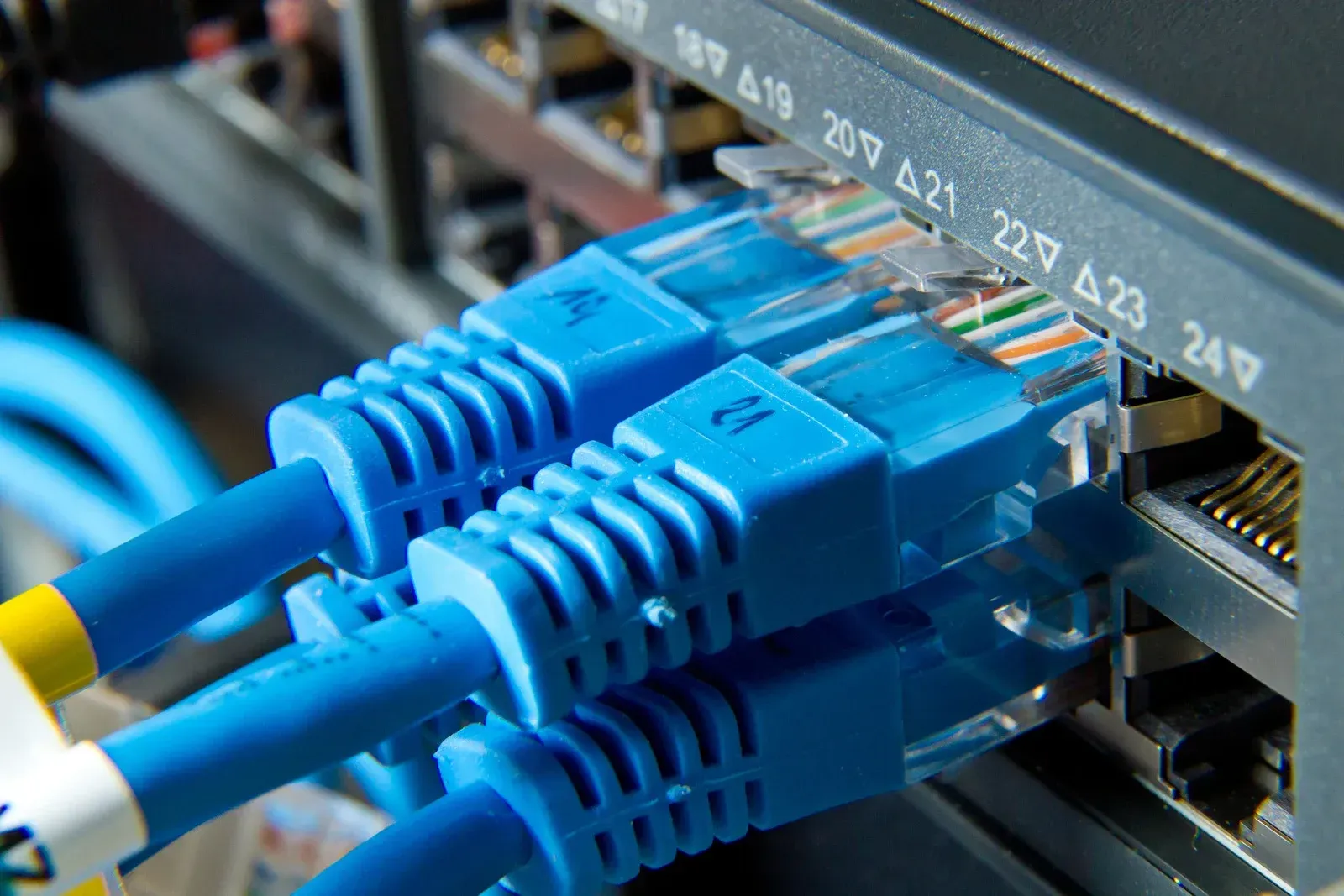 A bunch of blue cables are connected to a computer.