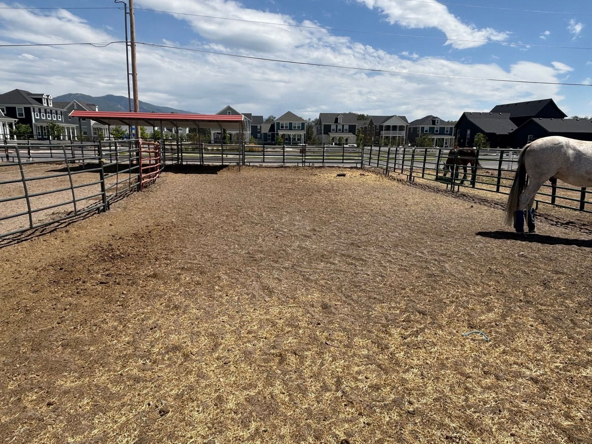 Horse in a fenced-in dirt area with a shelter. In the background are houses and a blue sky.